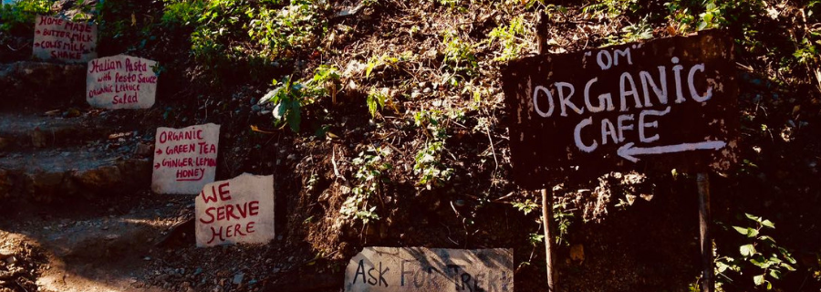 Organic cafe in Rishikesh